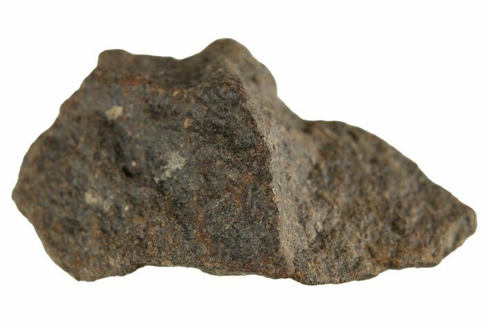 Carbonaceous Chondrite Meteorite ( g) - NWA #313722